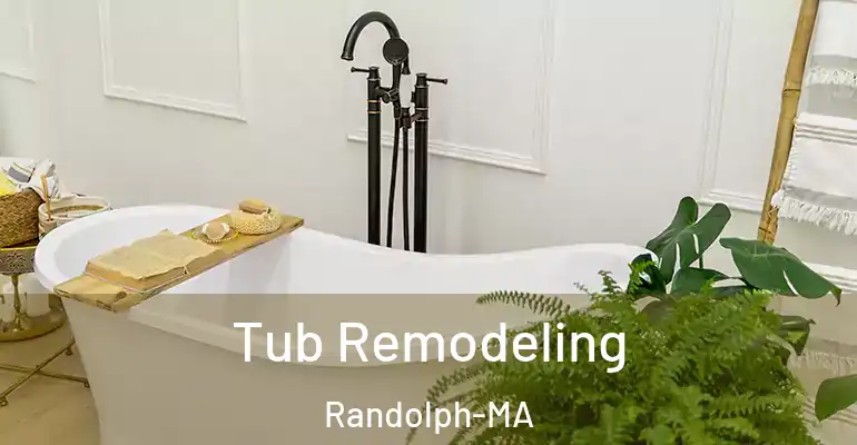 inner Bathroom imggen Tub Remodeling Randolph-MA