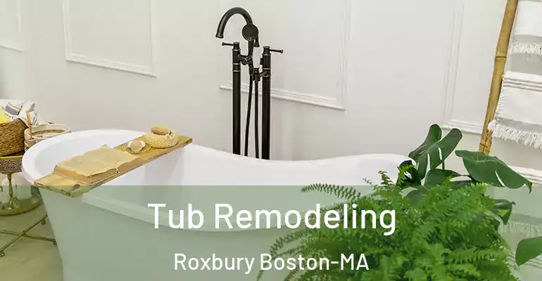inner Bathroom imggen Tub Remodeling Roxbury Boston-MA