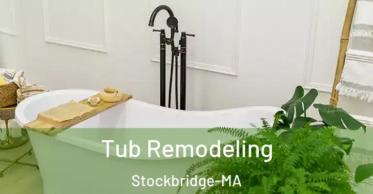inner Bathroom imggen Tub Remodeling Stockbridge-MA