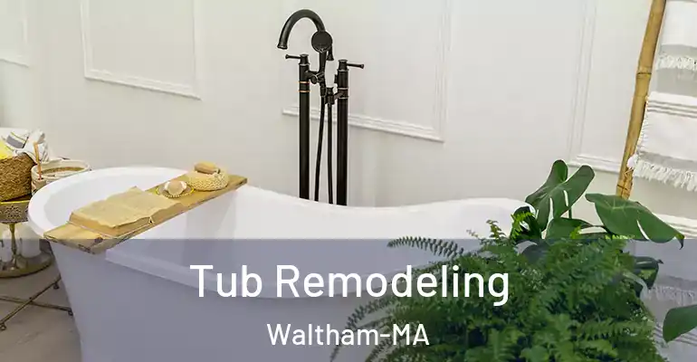inner Bathroom imggen Tub Remodeling Waltham-MA