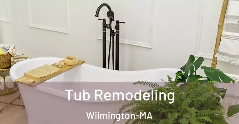 inner Bathroom imggen Tub Remodeling Wilmington-MA