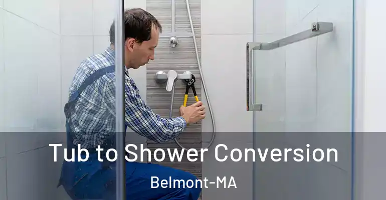 inner Bathroom imggen Tub to Shower Conversion Belmont-MA