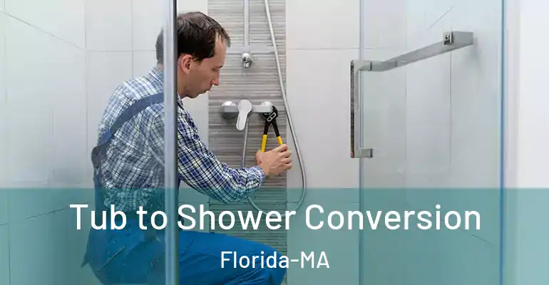 inner Bathroom imggen Tub to Shower Conversion Florida-MA