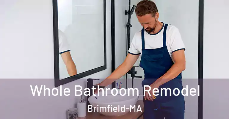 inner Bathroom imggen Whole Bathroom Remodel Brimfield-MA